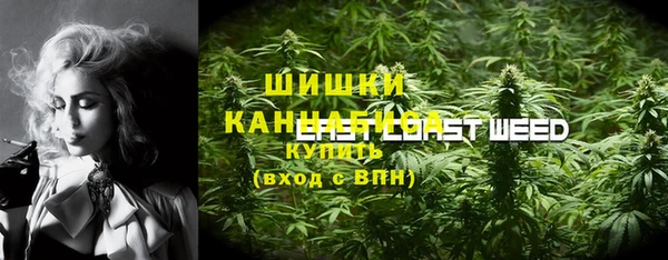 сатива Балабаново