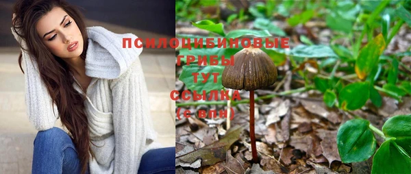 мяу мяу мука Арсеньев