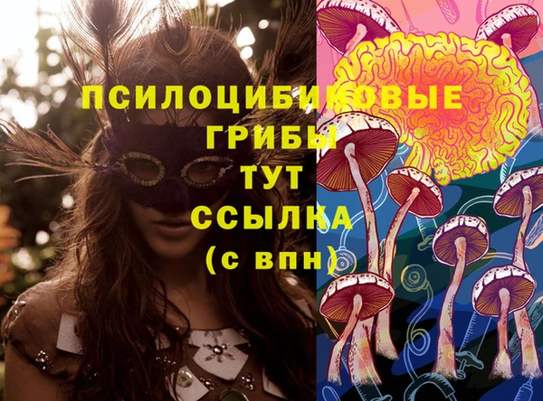 скорость Протвино